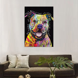 tableau coloré pitbull fond noir