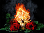 tableau tête de mort en feu et rose