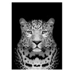 Affiche fond noir léopard de face