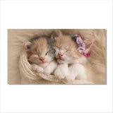 tableau deux chatons mignon