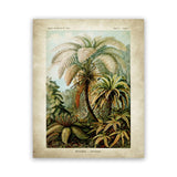 tableau abstrait de la jungle