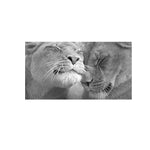 tableau lion calme