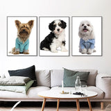 tableau chiot sur fond blanc