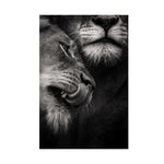 tableau photo lion mâle et femelle