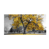 tableau photo noir et blanc arbre jaune