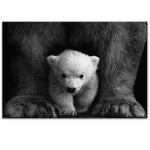 tableau photo ourson en noir et blanc