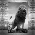 tableau photo rugissement noir et blanc