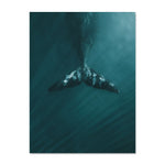 Turquoise Ocean Wave Dolphins Nature Scene Gallery Posters 