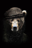 Tableaux ours avec un chapeau