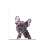 tableau chien bulle chewing gum