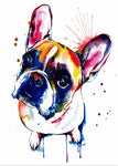 tableau saint Bernard coloré