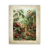 tableau abstrait de la jungle