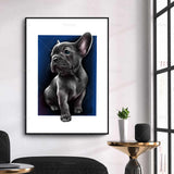 tableau bulldog fond bleu