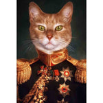 Affiche vintage chat empereur