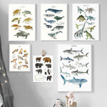 Child Poster Dinosaurs Whale Shark Foxes Bears Animal 