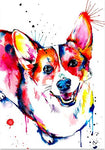 tableau saint Bernard coloré
