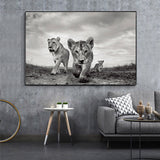 tableau bébé lion en noir et blanc