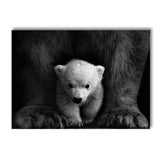 tableau bébé ours