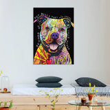 tableau coloré pitbull fond noir