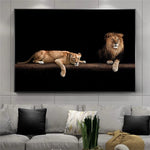 tableau nature lion et lionne