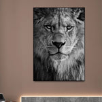 tableau tête lion d’Afrique