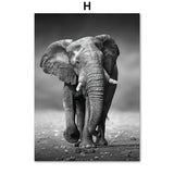 tableau dessin tigre et feuilles