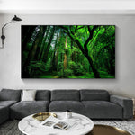 tableau photo grande foret