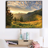 tableau brume qui recouvre dans la foret