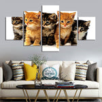 tableau famille chaton sur fond blanc