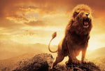 poster lion 1 pièce Posture du roi