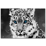 tableau petit chien blanc fond noir