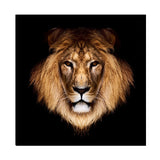 tableau visage lion fond noir