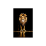 tableau lion debout fond noir