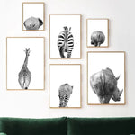 Safari Animal Ass Black and White Wall Art Interior 