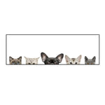 tableau pleins de tête de chat mignon