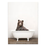 Cadre baignoire et grizzly