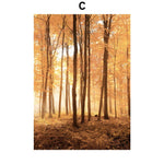 Affiche photo foret automne