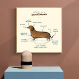 Vintage Dachshund Dog Wall Art Canvas Posters And Prints 