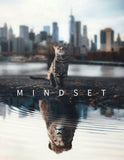 tableau mindset