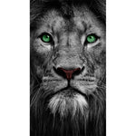 tableau photo noir et blanc lion yeux verts