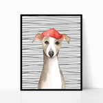 tableau chien bonnet rouge