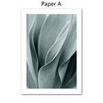 Tableau photo feuilles blanches