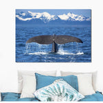 affiche photo queue de baleine
