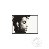 tableau de Rogers Nelson