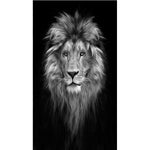 tableau photo noir et blanc lion yeux verts