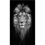 tableau photo noir et blanc lion yeux verts