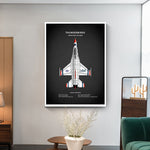 Affiche vintage avion UAF