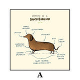 tableau vintage explication d’un chien