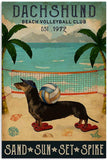 tableau chien beach volley