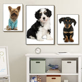 tableau chiot sur fond blanc
